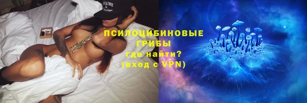 эйфоретик Вязьма